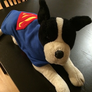 Super Dog Coat