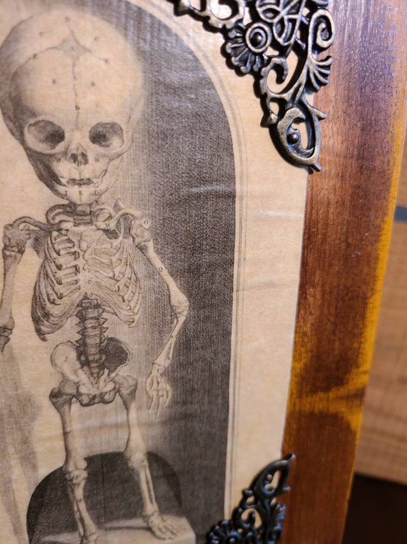 As is-Antique style skeleton Cigar jewelry box vintage wood restored