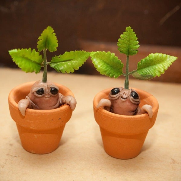 CUTE Miniature Mini Mandragora Mandrake root creature specimen clay sculpture weird oddities