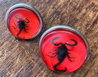 Real Scorpion in Resin Red Ring Stainless Steel Adjustable Scorpio Zodiac Halloween 20mm and 25mm