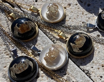 Real Crab Resin Pendant Necklace - Stainless Steel Chain, Cancer Zodiac