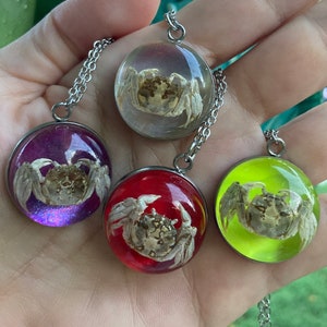 Real Crab Preserved in Resin Necklace Cancer Pendant River Ghost River Crustacean Mermaid Pirate Jewelry Various Colors Tropigoth Whimsigoth