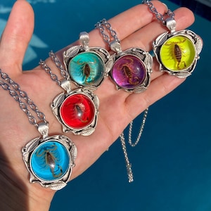 Real Scorpion Pendant Necklace Silver Leaf Necklace Preserved Scorpio Rainbow Color Red Green Yellow Purple Insect Arachnid Tropigoth Whimsy