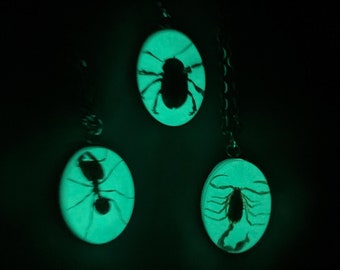 Glow in the Dark Insect Pendant, Real Scorpion Beetle Ant Necklace