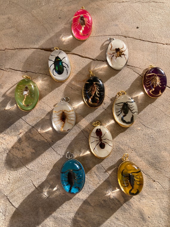 Real Scorpion Beetle Ant Spider Pendant Necklace Stainless Steel Preserved in Resin Unisex Insect taxidermy Beetlejuice Antman Cosplay