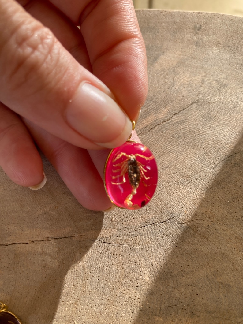Real Scorpion Beetle Ant Spider Pendant Necklace Stainless Steel Preserved in Resin Unisex Insect taxidermy Beetlejuice Antman Cosplay Scorpion/Pink