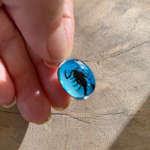 Real Scorpion Beetle Ant Spider Pendant Necklace Stainless Steel Preserved in Resin Unisex Insect taxidermy Beetlejuice Antman Cosplay Scorpion/Blue