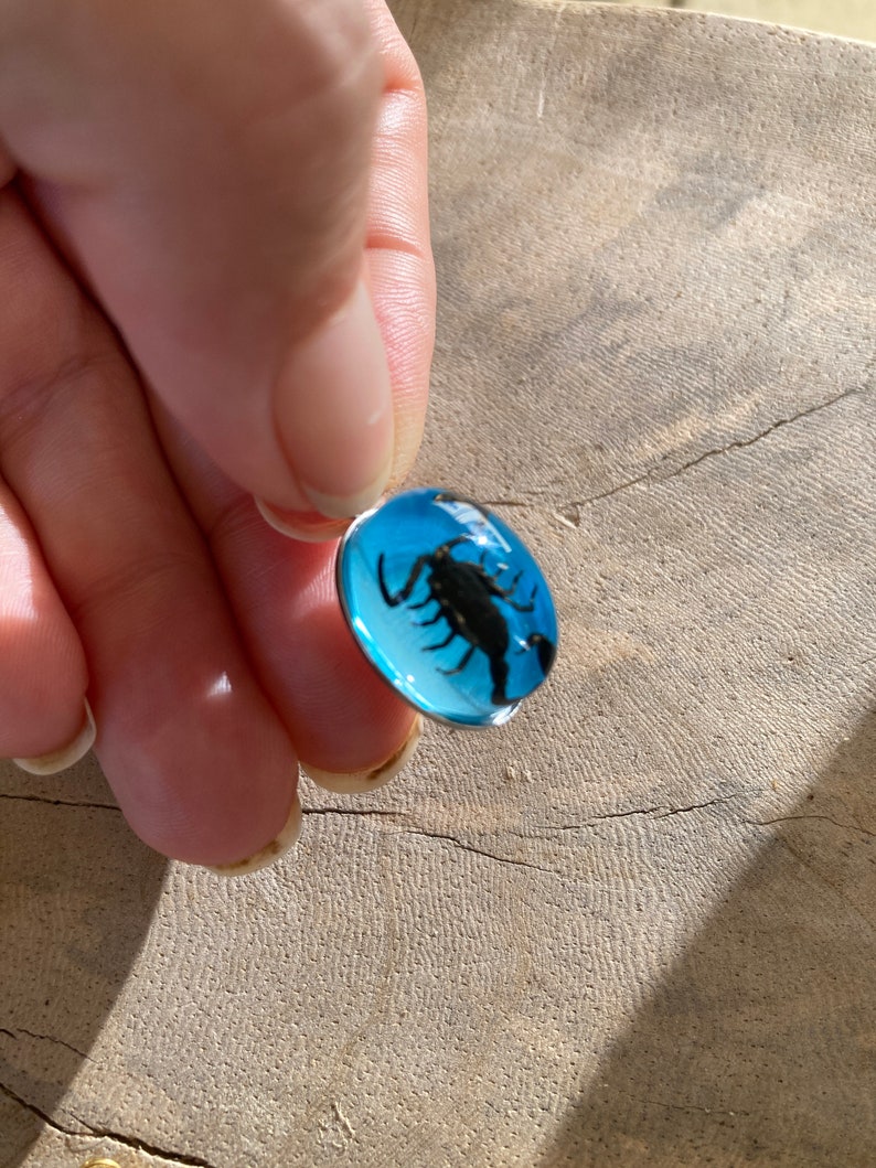 Real Scorpion Beetle Ant Spider Pendant Necklace Stainless Steel Preserved in Resin Unisex Insect taxidermy Beetlejuice Antman Cosplay Scorpion/Blue