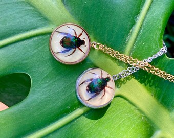 Real Beetle Necklace Chafer Pendant Iridescent Insect Preserved Whimsigoth Halloween Beetlejuice