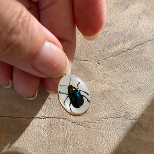 Real Scorpion Beetle Ant Spider Pendant Necklace Stainless Steel Preserved in Resin Unisex Insect taxidermy Beetlejuice Antman Cosplay Beetle/White