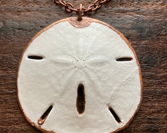 Real White Sand Dollar Copper Sealed on Chain Choker Necklace