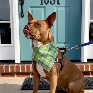 Green Plaid Dog Bandana
