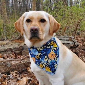 Bold & Beautiful Blooms Dog Bandana