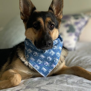 Blue Crab Dog Bandana