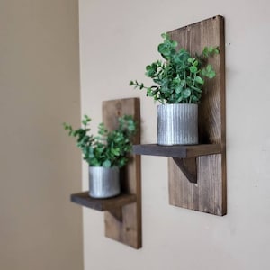 Puede incluir: Dos estantes de pared de madera r&uacute;stica con una peque&ntilde;a repisa, cada uno con una planta en maceta con hojas verdes en una maceta de metal plateado. Los estantes est&aacute;n te&ntilde;idos de un color marr&oacute;n oscuro.