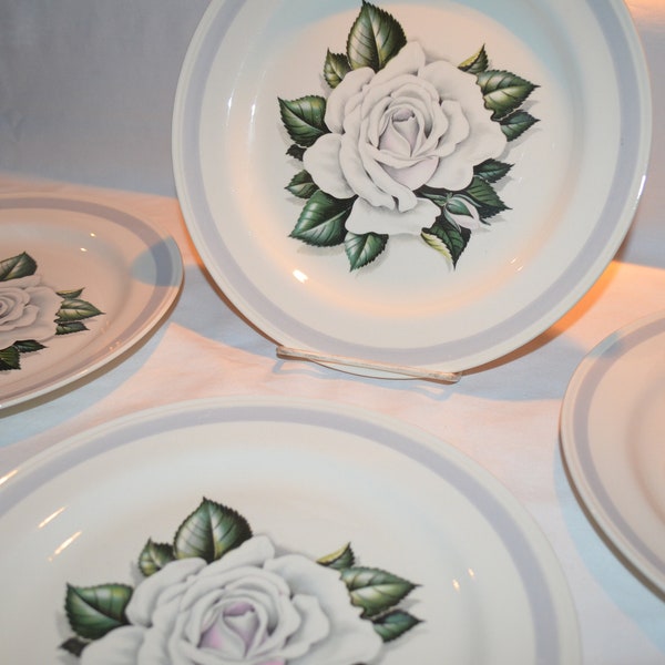 SET of 4 - Eggshell Nautilus White Rose Gray Band - Dinner Plate 9 7/8" - Homer Laughlin China - Restaurant Ware