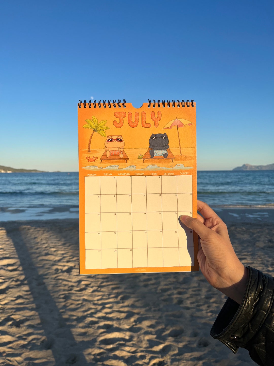 2024 Illustrated Cat Calendar Etsy