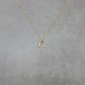 Wishbone [GOLD] Dainty Necklace Jewelry Tiny Charm Pendant Minimal Good Luck Everyday Unique Necklace Simple in Gift Box