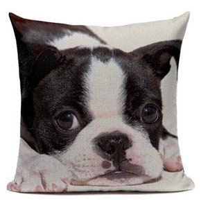 Boston Terrier Puppy Dog B14 Cushion Pillow Cover Cartoon Pet French ...