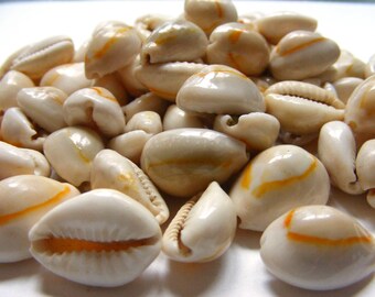 Bulk Lot Cowrie Shell Beads Mixed Sizes 79