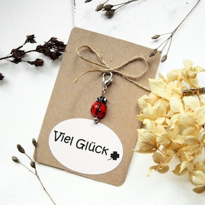 Coccinella portafortuna ~ piccolo ciondolo su carta regalo | piccolo regalo per un compleanno, un esame o la notte di Capodanno