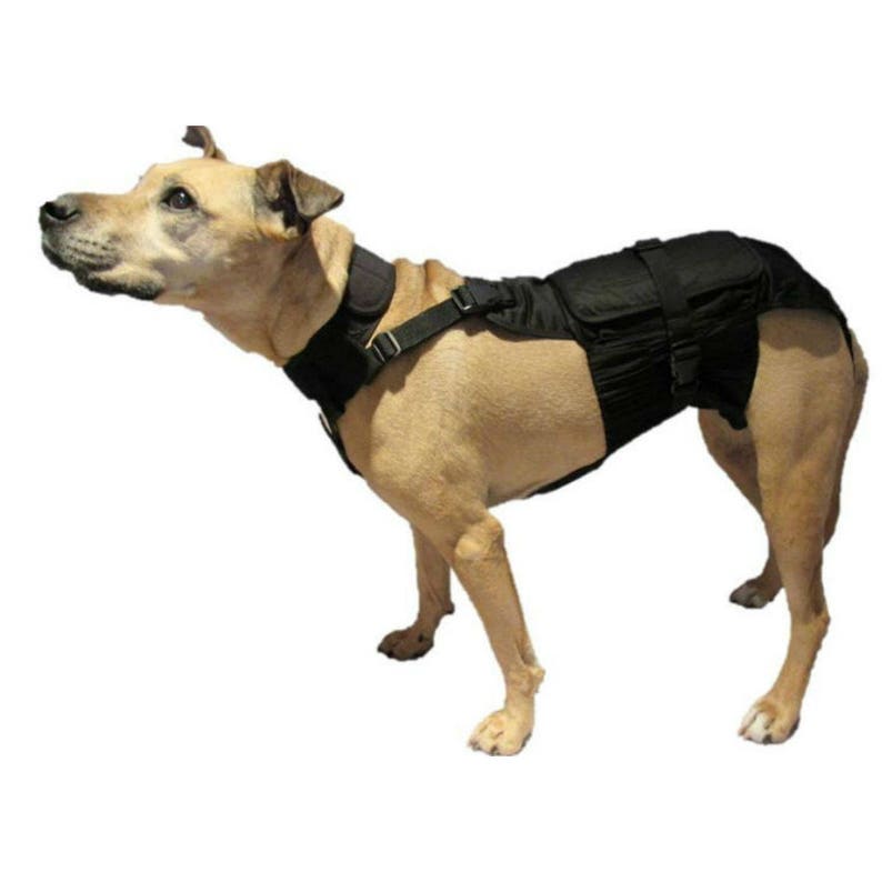 Medium Dog Diaper Wrap with Neck and Extender Package 20 Etsy