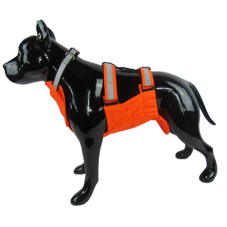 Bird Dog Hunting Vest UnderBelly & Chest Protection Etsy Polska