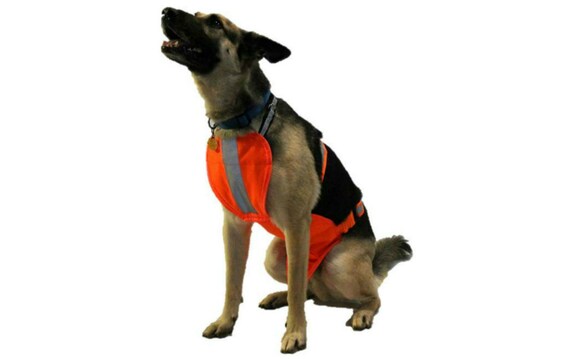 Bird Dog Hunting Vest underbelly 