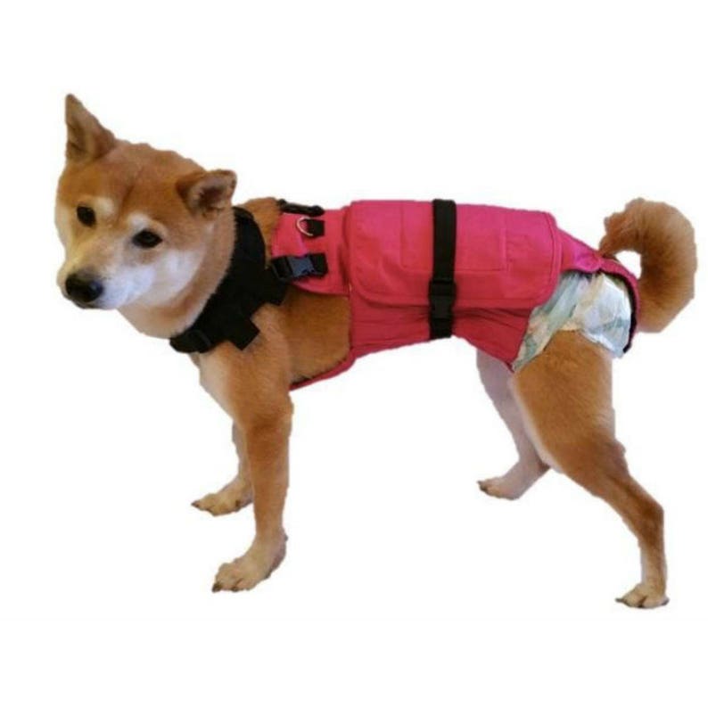 Medium Dog Diaper Wrap With Neck and Extender Package 20 Etsy