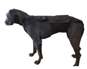 great dane diapers