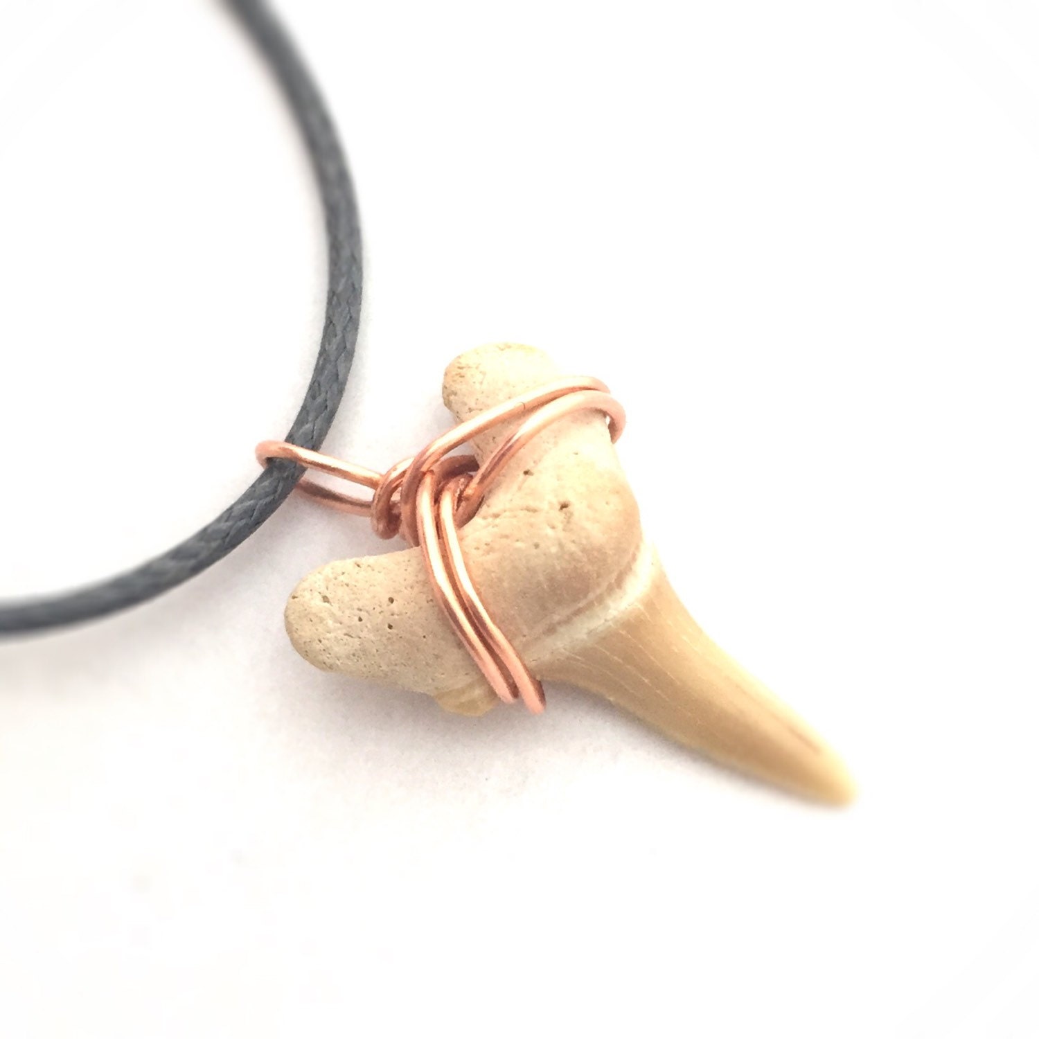 Sharks Tooth Real Shark Tooth Necklace Little Boy Gift Etsy