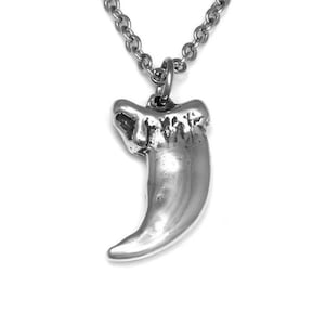 May include: Silver necklace featuring a detailed claw pendant. The claw is a realistic depiction of a bear or wolf claw.