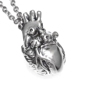 Può includere: Una collana con un ciondolo a forma di cuore anatomico in argento. Il cuore è dettagliato e realistico, con vene e camere visibili. La collana è realizzata con una catena in argento.