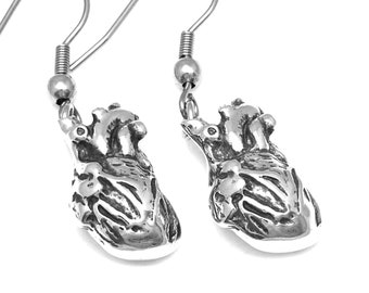 Anatomical Heart Charm Earrings Human Anatomy Jewelry