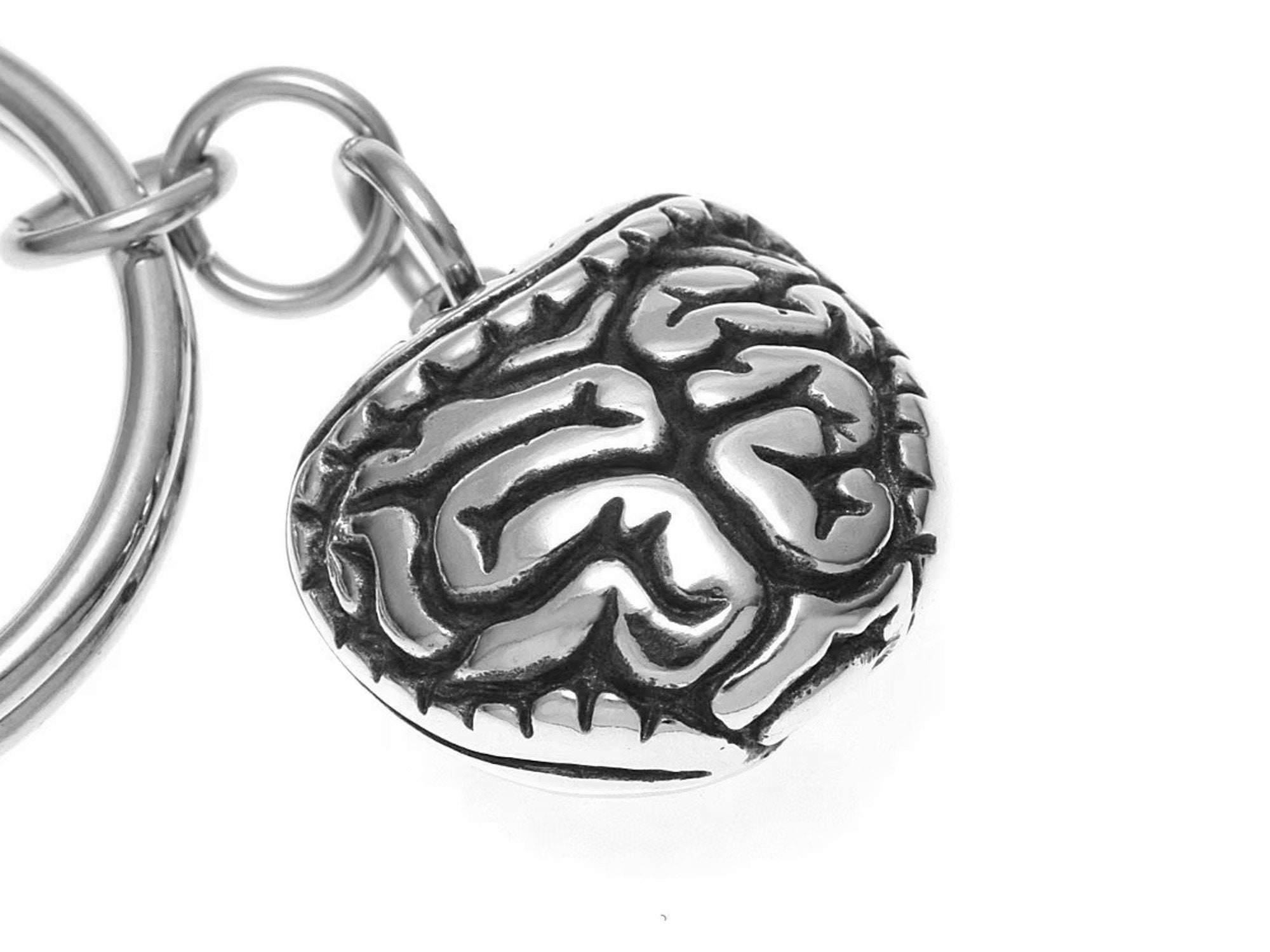 Digestive Key Ring Intestines Keychain, Digestive Keyring Anatomical Key Holder in Pewter ...