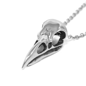 May include: A silver bird skull pendant necklace. The pendant is detailed and realistic, with a textured surface and visible eye sockets. The chain is silver and has a delicate link.