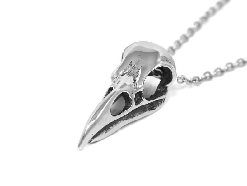 May include: A silver bird skull pendant necklace. The pendant is detailed and realistic, with a textured surface and visible eye sockets. The chain is silver and has a delicate link.