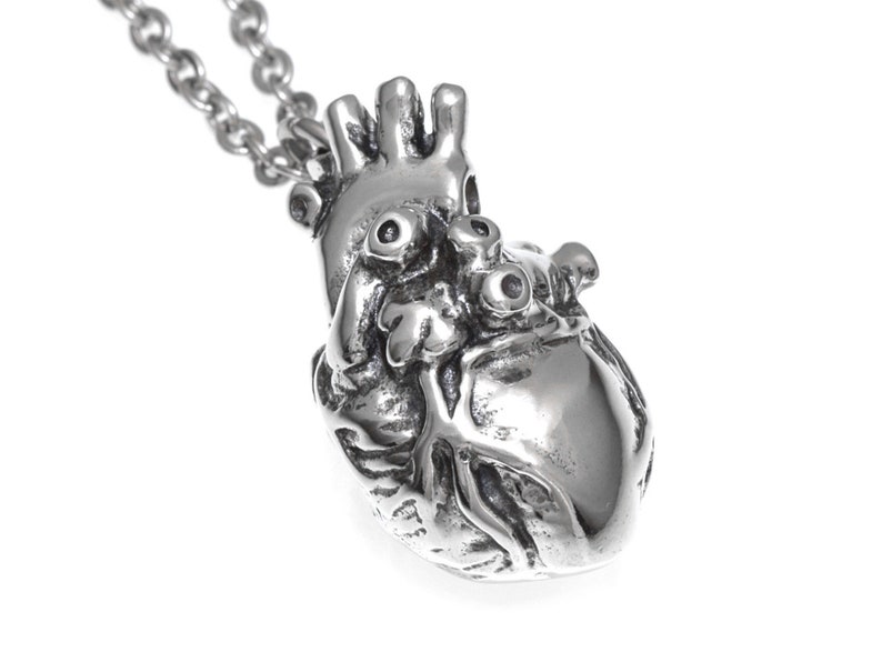 Op de afbeelding: Een zilveren ketting met een anatomische hart hanger. Het hart is gedetailleerd en realistisch, met zichtbare aderen en kammern. De ketting is gemaakt van een zilveren ketting.