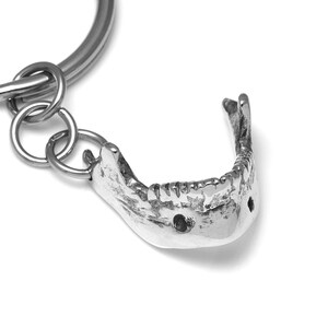 May include: A silver keychain featuring a detailed replica of a human jawbone.