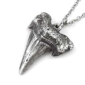 Puede incluir: Un collar con un colgante de plata en forma de diente de tiburón detallado. El colgante está unido a una cadena de plata.