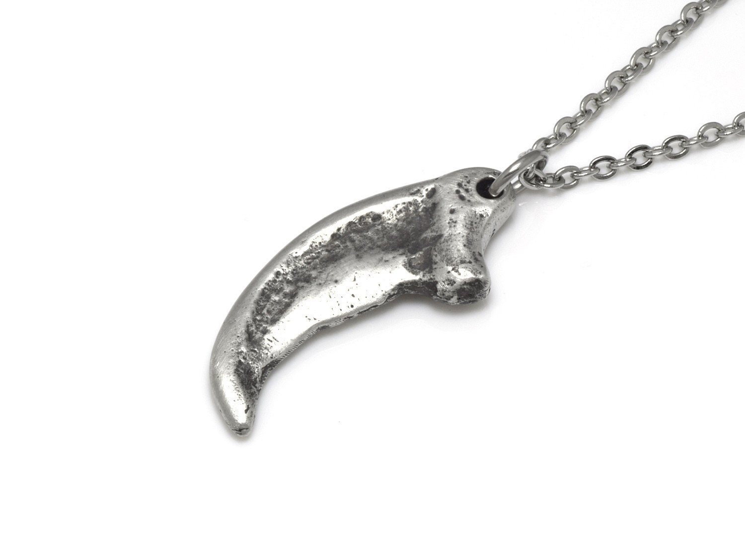 Komodo Dragon Claw Necklace Lizard Talon Pendant Reptile - Etsy