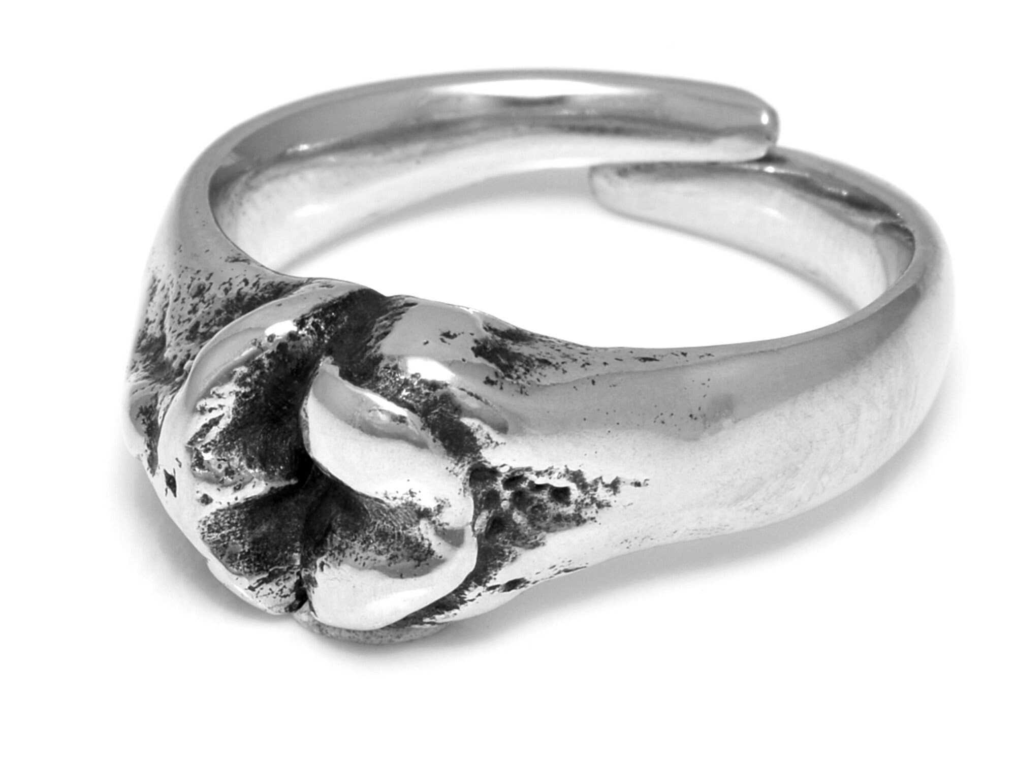 Tibia and Femur Ring in Pewter Bone Ring Medical Jewelry 