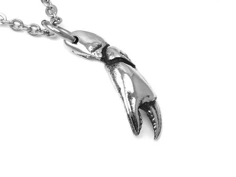 Crab Claw Necklace Crustacean Pendant Animal Claw Jewelry in Etsy