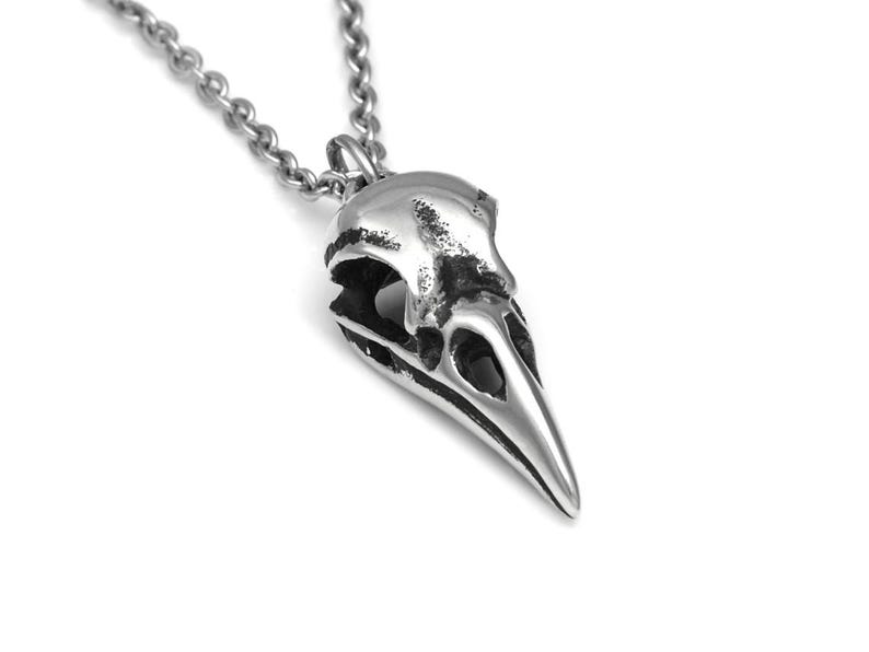 May include: A silver pendant necklace featuring a detailed, realistic crow skull design. The pendant is attached to a silver chain.