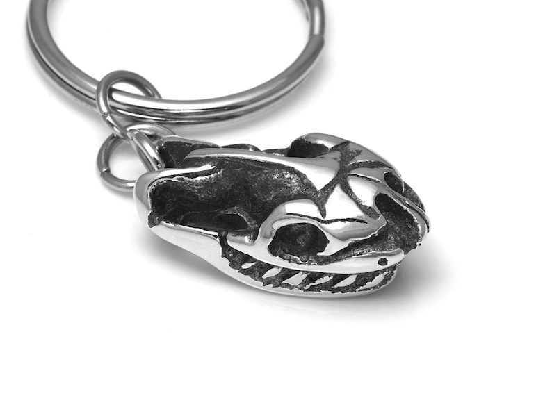 Pu&ograve; includere: Un portachiavi in ​​argento con un ciondolo a forma di teschio dettagliato. Il teschio &egrave; una rappresentazione realistica di un cranio di rettile.