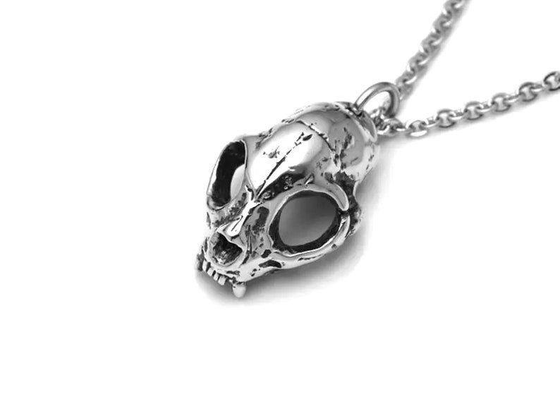 May include: A silver skull pendant necklace with a detailed, textured design. The pendant is attached to a silver chain.