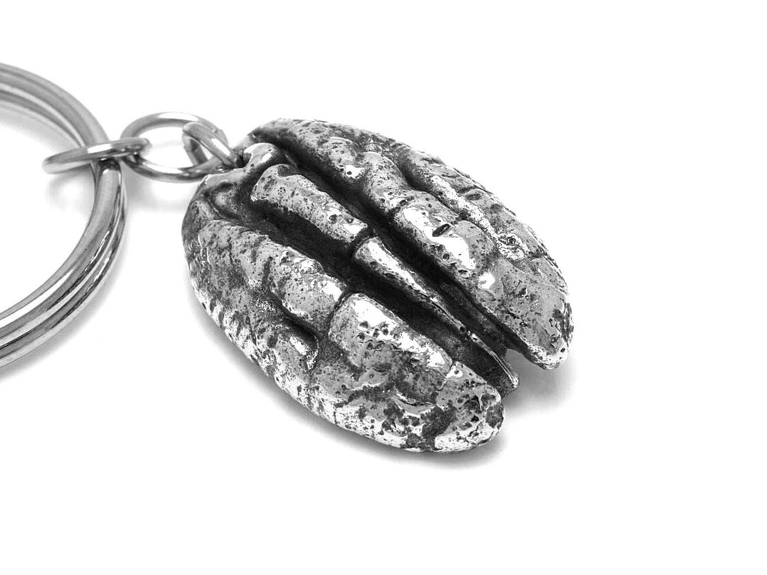 Nut Keychain Pecan Keychain in Pewter, Handmade Nut Keyring, Pewter Keyholder - Etsy