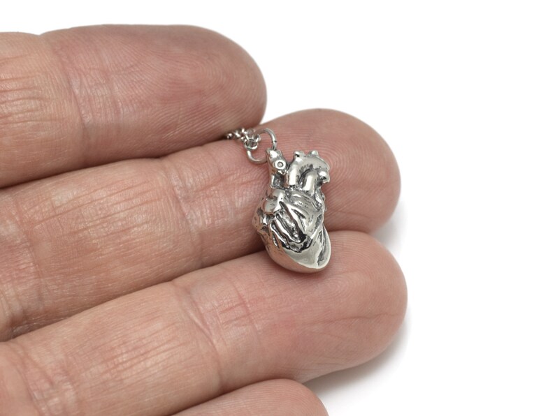 Small Anatomical Heart Necklace Cardiology Charm Anatomy Etsy
