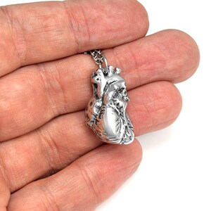 May include: A silver-colored pendant necklace featuring a detailed anatomical heart charm. The heart pendant is suspended from a delicate chain. The pendant is approximately 1 inch in length and has a realistic, textured surface.