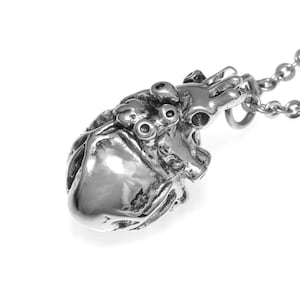 Op de afbeelding: Een zilveren anatomisch hart hanger ketting. Het hart is gedetailleerd met aderen en kamers. De ketting is van zilver.